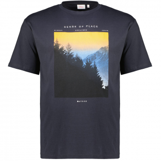 T-Shirt aus Baumwolljersey mit Fotoprint blau_5910 | 3XL