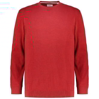 Feinstrickpullover aus Baumwolle rot_39X1 | 3XL