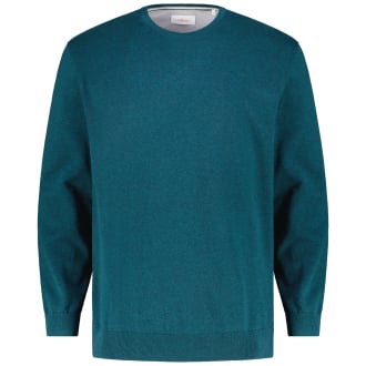 Feinstrickpullover aus Baumwolle blau/grün_67W0 | 4XL