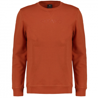 Sweatshirt mit dezentem Logoprint auf der Brust orange_10308 | 3XL
