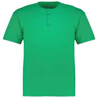 T-Shirt aus reiner Baumwolle grasgrün_394 | 3XL