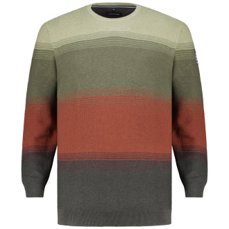 Rundhalspullover aus Baumwolle dunkelgrün_375 | 4XL