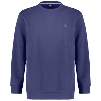 Sweatshirt aus Biobaumwolle graublau_418/39 | 5XL