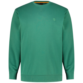 Sweatshirt aus Biobaumwolle grün_343 | 4XL