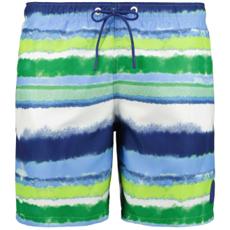 Badeshorts mit Allover-Print blau/grün_628 | 8