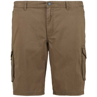 Cargo-Shorts mit Stretch braun_1900 | 62