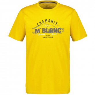 T-Shirt aus Baumwolljersey mit Print- und Stickelementen gelb_539 | 5XL