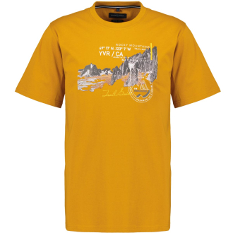 T-Shirt aus Biobaumwolle curry_540 | 3XL