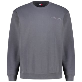 Sweatshirt mit Logo-Stickerei dunkelgrau_PT2 | 5XL