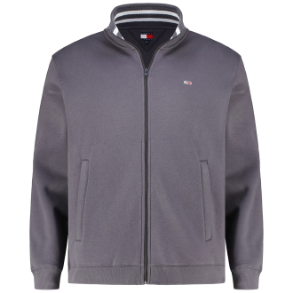 Sweatjacke aus Baumwollmischung dunkelgrau_PT2 | 5XL
