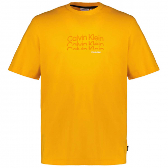 T-Shirt aus Stretch-Baumwolle mit Flockprint orange_SGV | 3XL