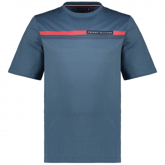 T-Shirt mit Biobaumwolle graublau_DA4 | 5XL