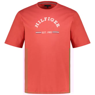 T-Shirt aus Baumwolle rost_XM0 | 3XL