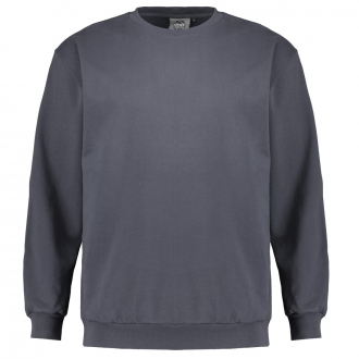 Basic Sweatshirt aus weichem Baumwoll-Stretch grau_143 | 3XL