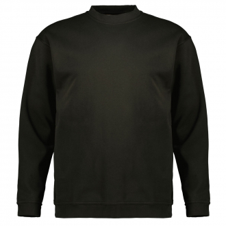 Basic-Sweatshirt oliv_315 | 3XL