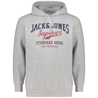 Kapuzenpullover mit Logo-Print hellgrau_LIGHTGREY | 3XL