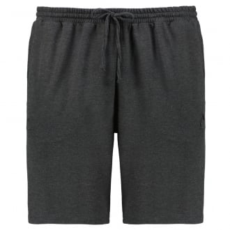 Joggingshorts mit Stretch grau_95 | 58