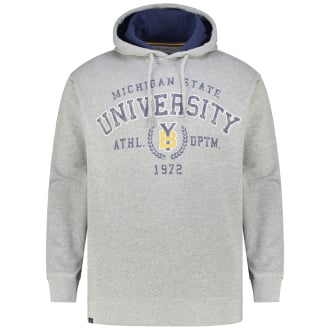 Hoodie aus Baumwollmischung grau_89 | 3XL