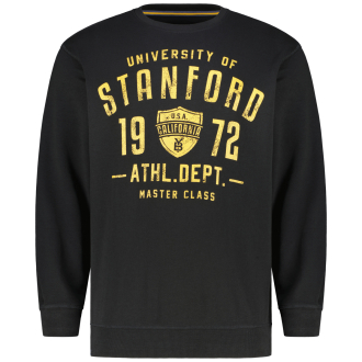 Sweatshirt aus Baumwollmischung schwarz_15 | 3XL