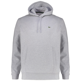 Hoodie mit Biobaumwolle grau_CCA | 3XL