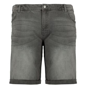 5-Pocket Jeansshorts mit Stretch hellgrau_4235 | W44